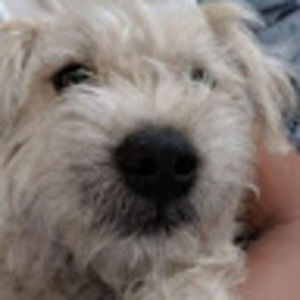 Meet your Posher, Evangeline mae